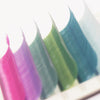 Pastel Color Lash