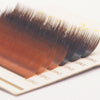 Brown Series Color Lash