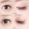 Brown Series Color Lash