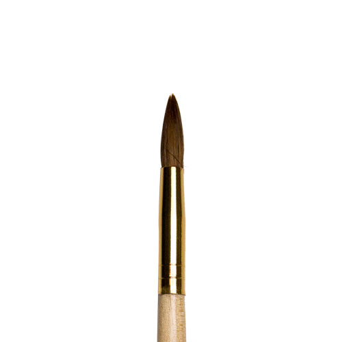 Student Nail Brush #7