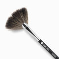Fan Brush