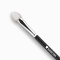 Sponge Applicator
