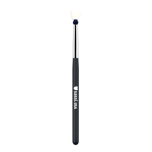 Sponge Applicator