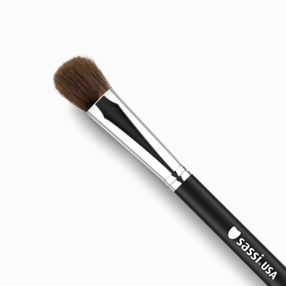 Big Eyeshadow Brush