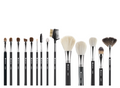 Pro Brush Collection (14pcs)